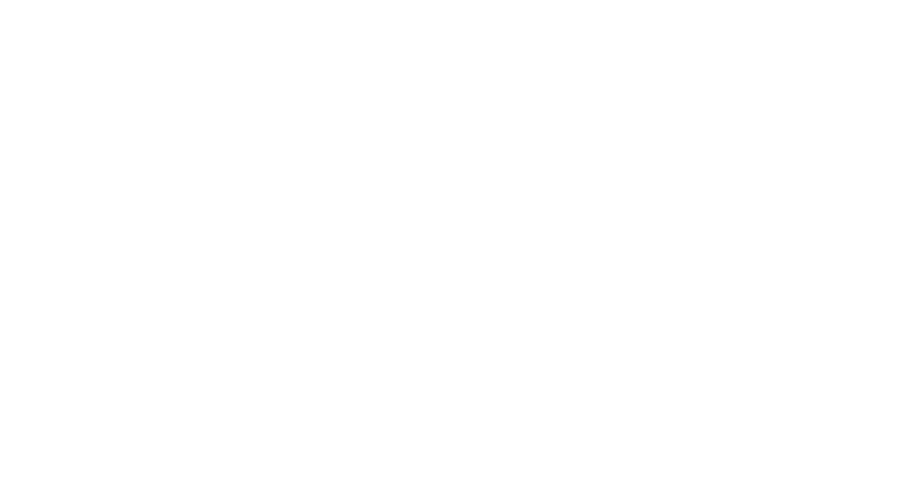 DUVI Group Logo